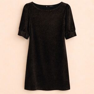RW&CO. BLACK AND GOLD VELVET DRESS